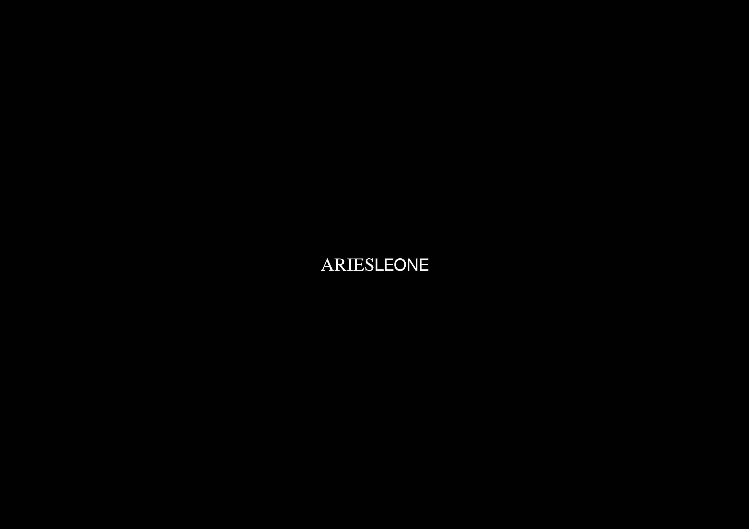 Aries Leone Brand Identity 2024