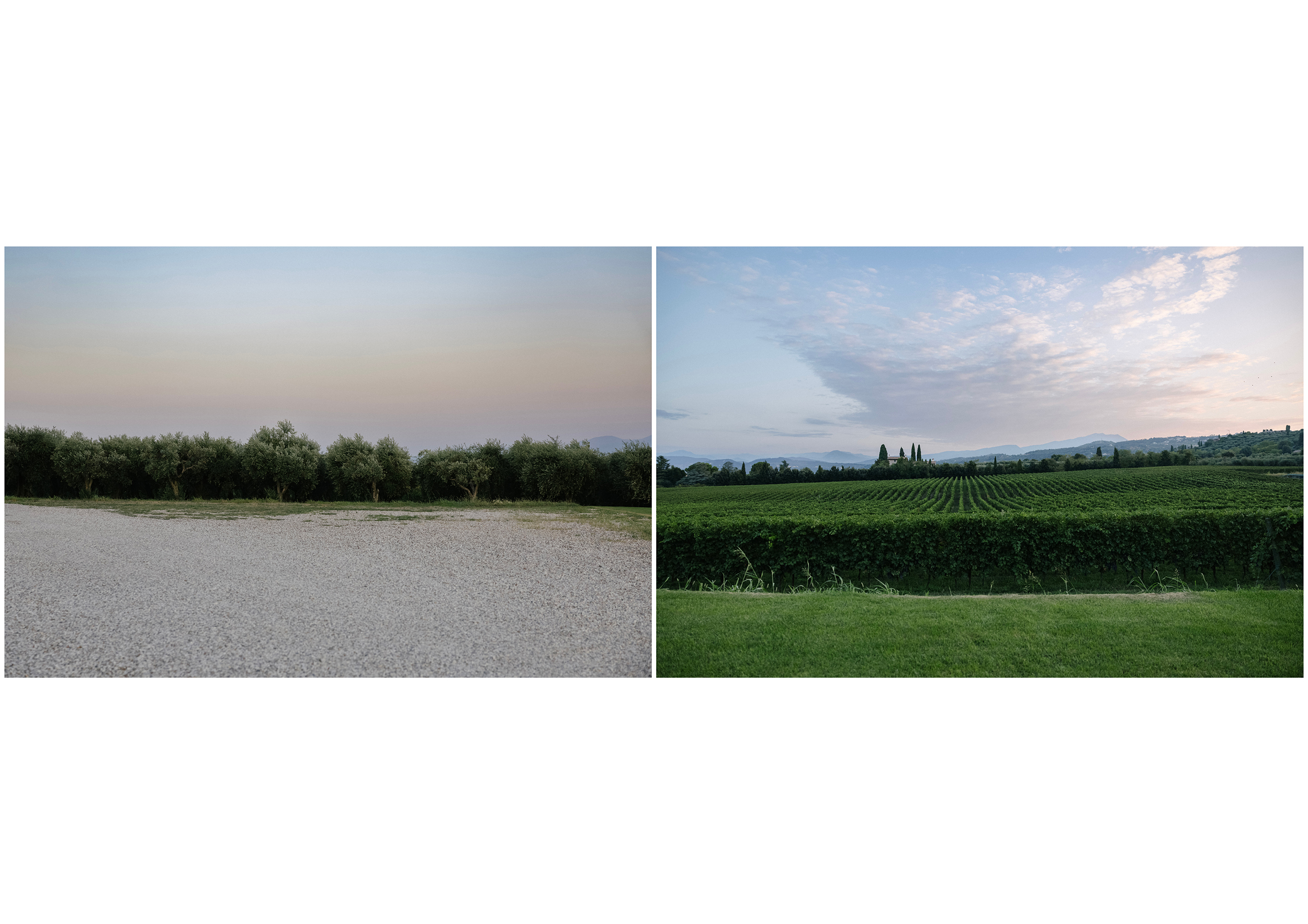Tenuta La Cà Tasteful Things 2024